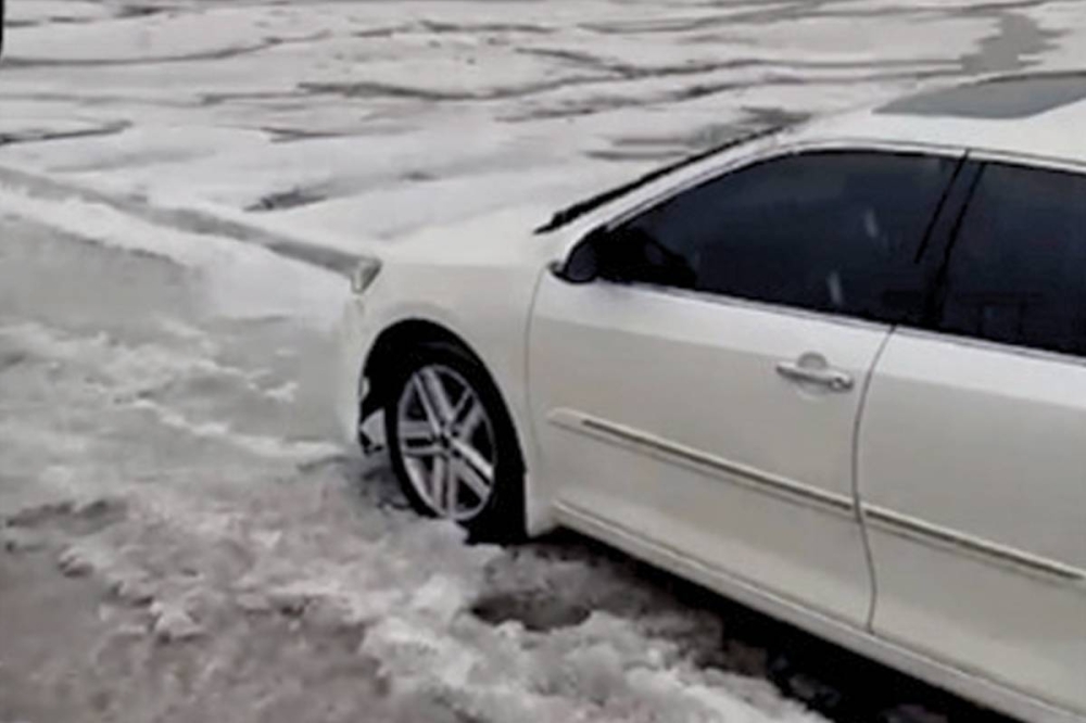 البردي يغطي طرق المناطق الجنوبية