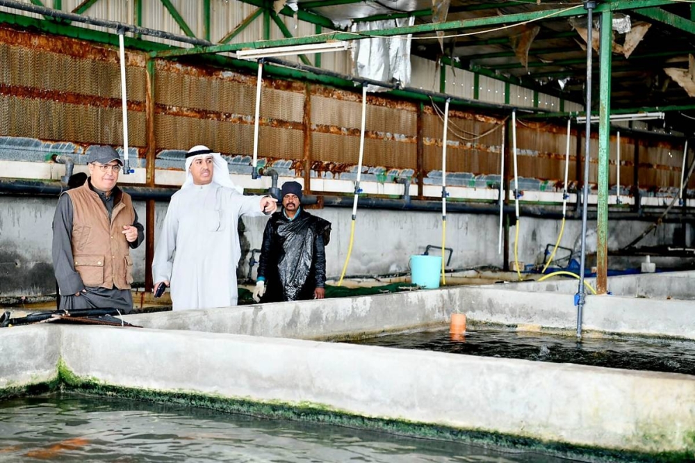 مدير الهيئة في جولة بمزارع الإنتاج السمكي بمنطقة العبدلي