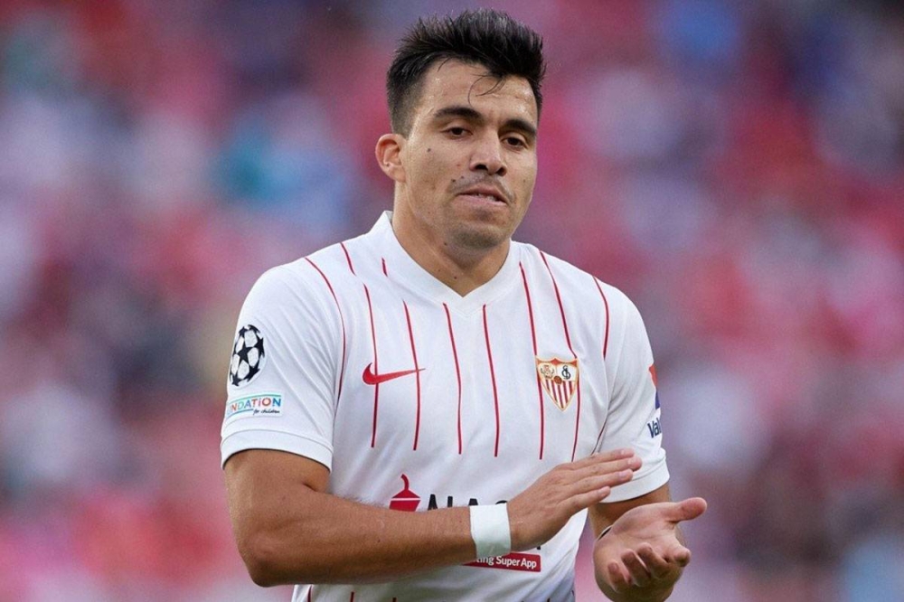 ماركوس أكونيا