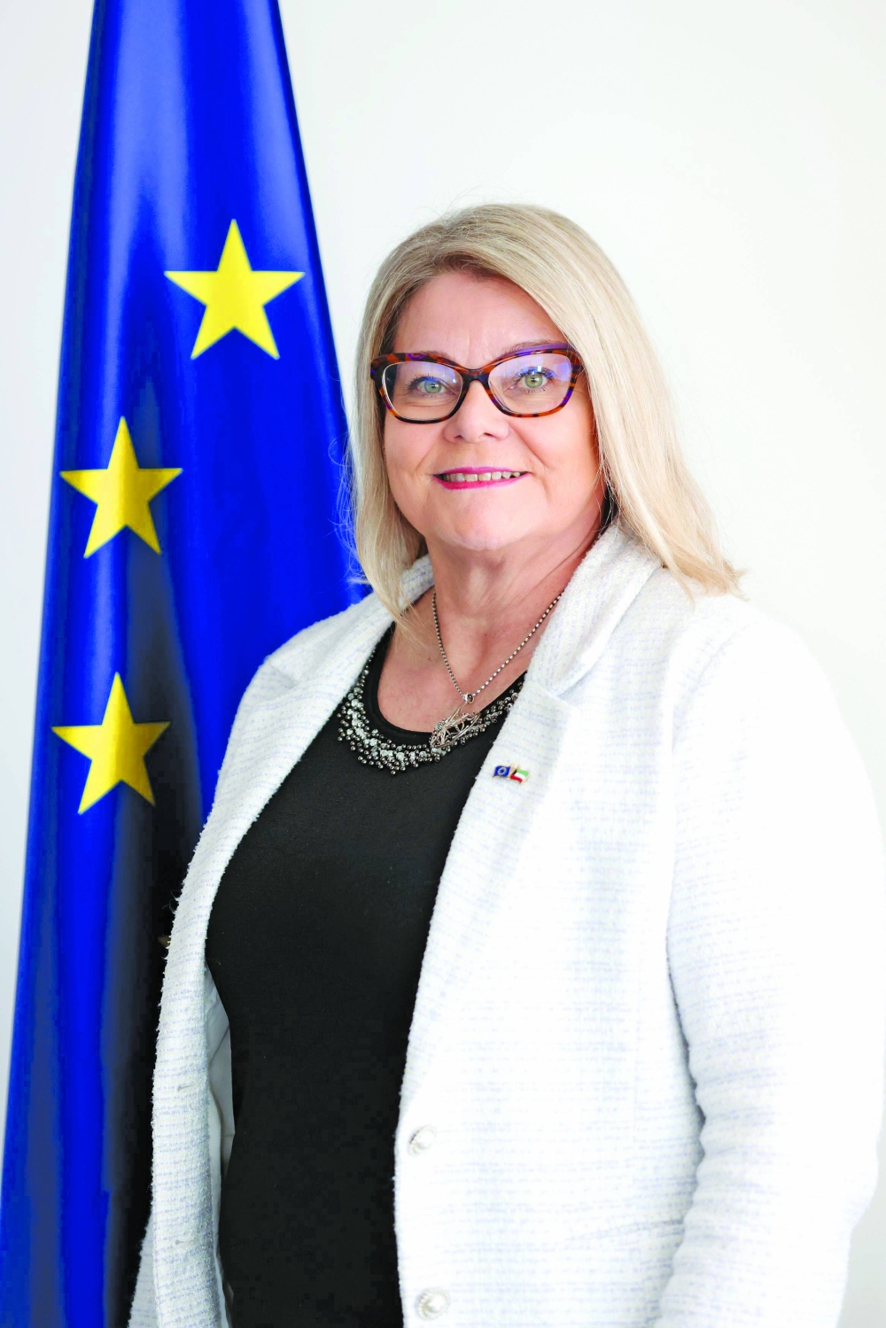 سفيرة الاتحاد الأوروبي آن كويستينين