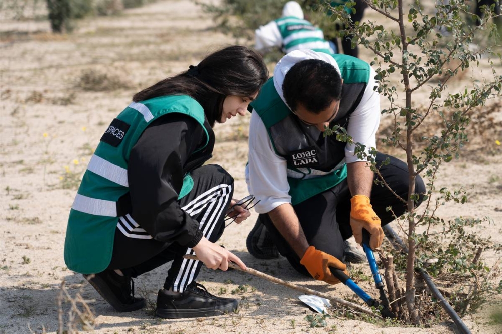 جانب من شباب «لوياك» أثناء الزراعة