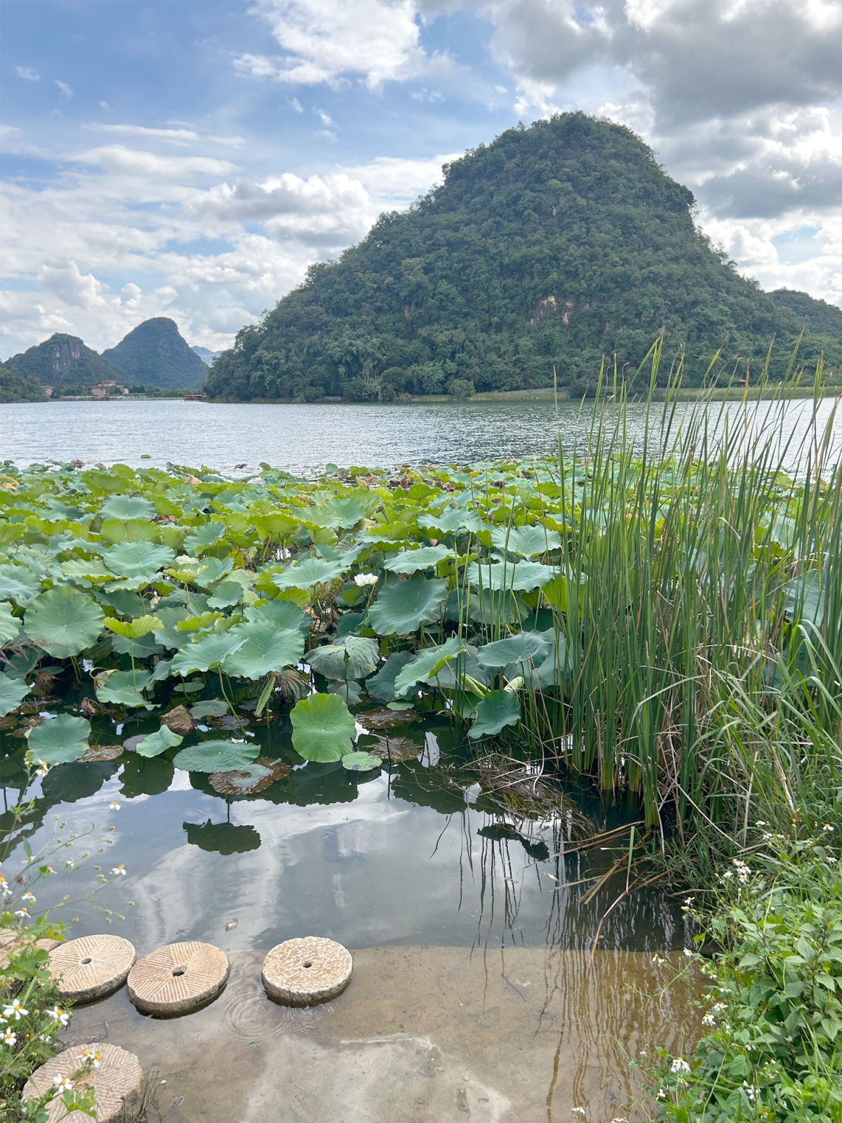 جبل وبحيرة في بوجيهي