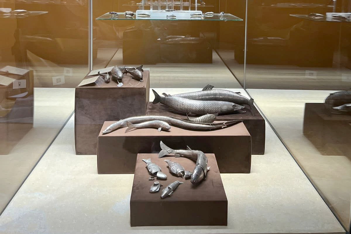 جانب من محتويات المتحف