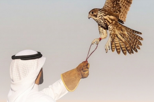 «الداخلية»: لا تهاون مع من يمارس الصيد داخـل المحميات الطبيعية