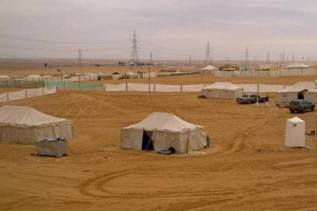 بدء المخيمات الربيعية وحجزها إلكترونياً السبت 15 نوفمبر.. واللائحة الجديدة «قيد الانتظار»