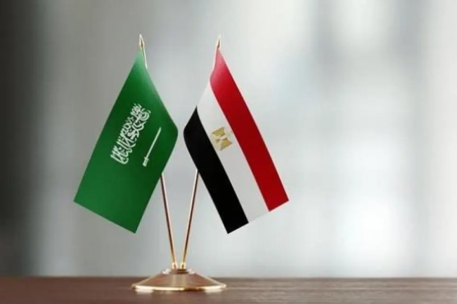 وزيرا خارجية مصر والسعودية يتفقان على مواصلة التنسيق بشأن غزة والسودان