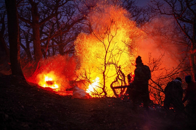 حريق يلتهم غابات إيرانية مدرجة على قائمة «يونسكو»