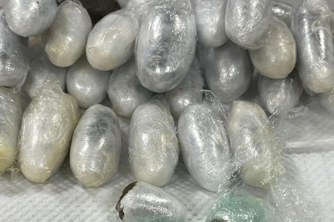 إحباط تهريب حشيش داخل أحشاء مسافر أوروبي عبر «T4»