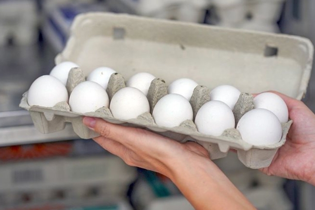 «الغذاء» توصي بحظر ورفع الحظر عن استيراد لحوم الطيور والبيض من بعض الدول