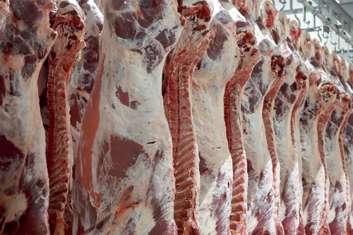 «جنون البقر»... «التجارة» تعدل ضوابط استيراد اللحوم 