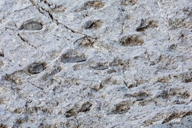 اكتشاف وادي الديناصورات في إيطاليا 