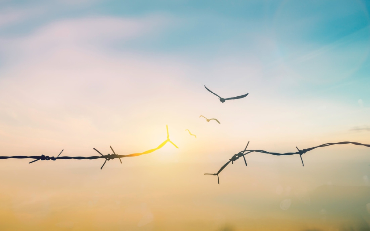 أميركا تطرح مشروع «شروق الشمس» لتحويل غزة إلى مدينة تكنولوجية متطورة 