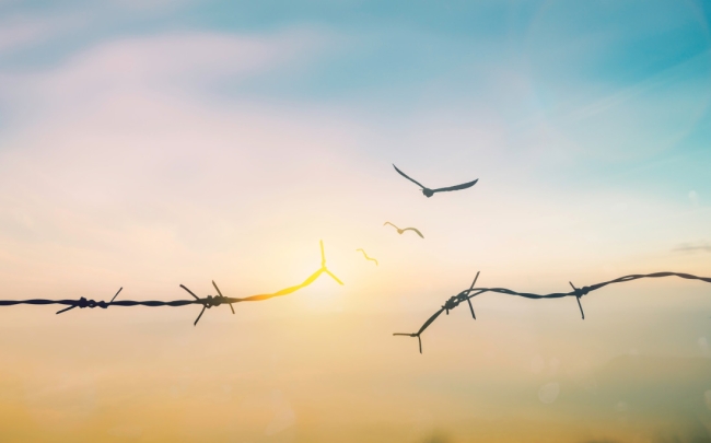 أميركا تطرح مشروع «شروق الشمس» لتحويل غزة إلى مدينة تكنولوجية متطورة