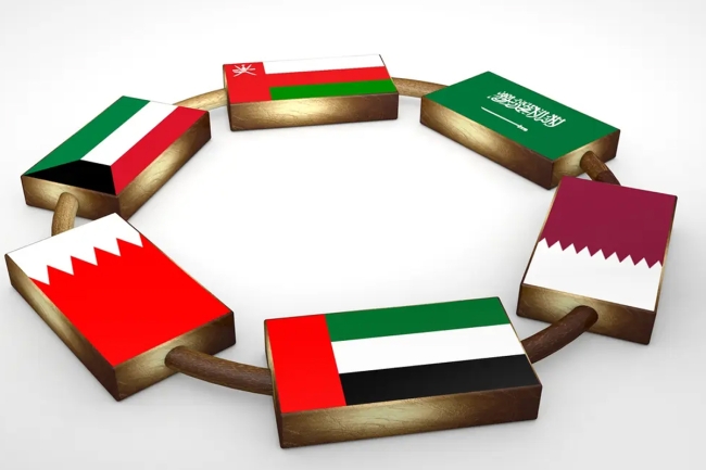 سفراء دول الخليج: سمو الأمير نموذج للحكمة والقيادة