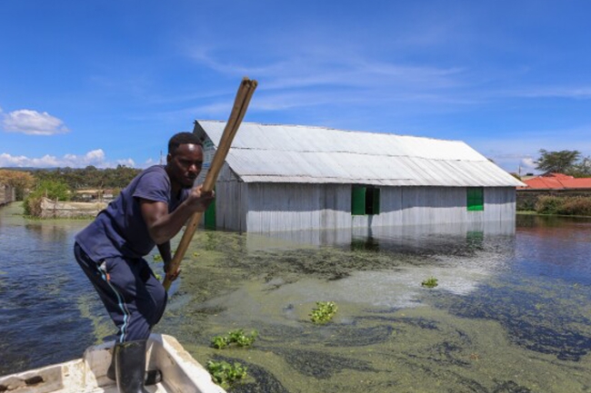 المياه تلتهم المزارع في كينيا 