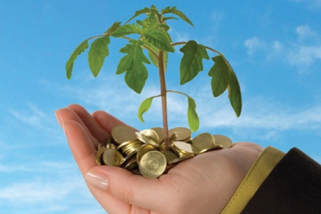 المبادرون في تجاربهم بين الطموح العالي والتحديات التنظيمية والاقتصادية