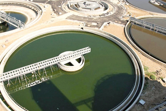 «الشراكة» تطلب طرح اكتتاب أسهم شركة أم الهيمان للمواطنين