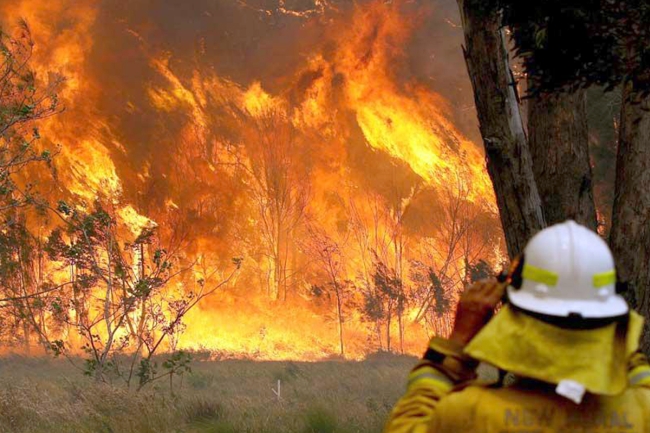 أستراليا «قيظ» والحكومة خائفة من «الجمعة» 