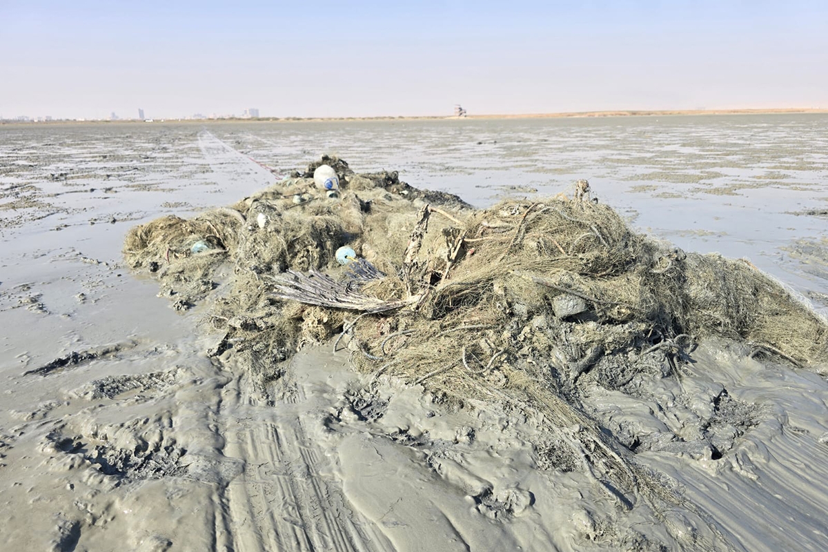 فريق الغوص الكويتي يطلق حملة كبرى لتنظيف جون الكويت 