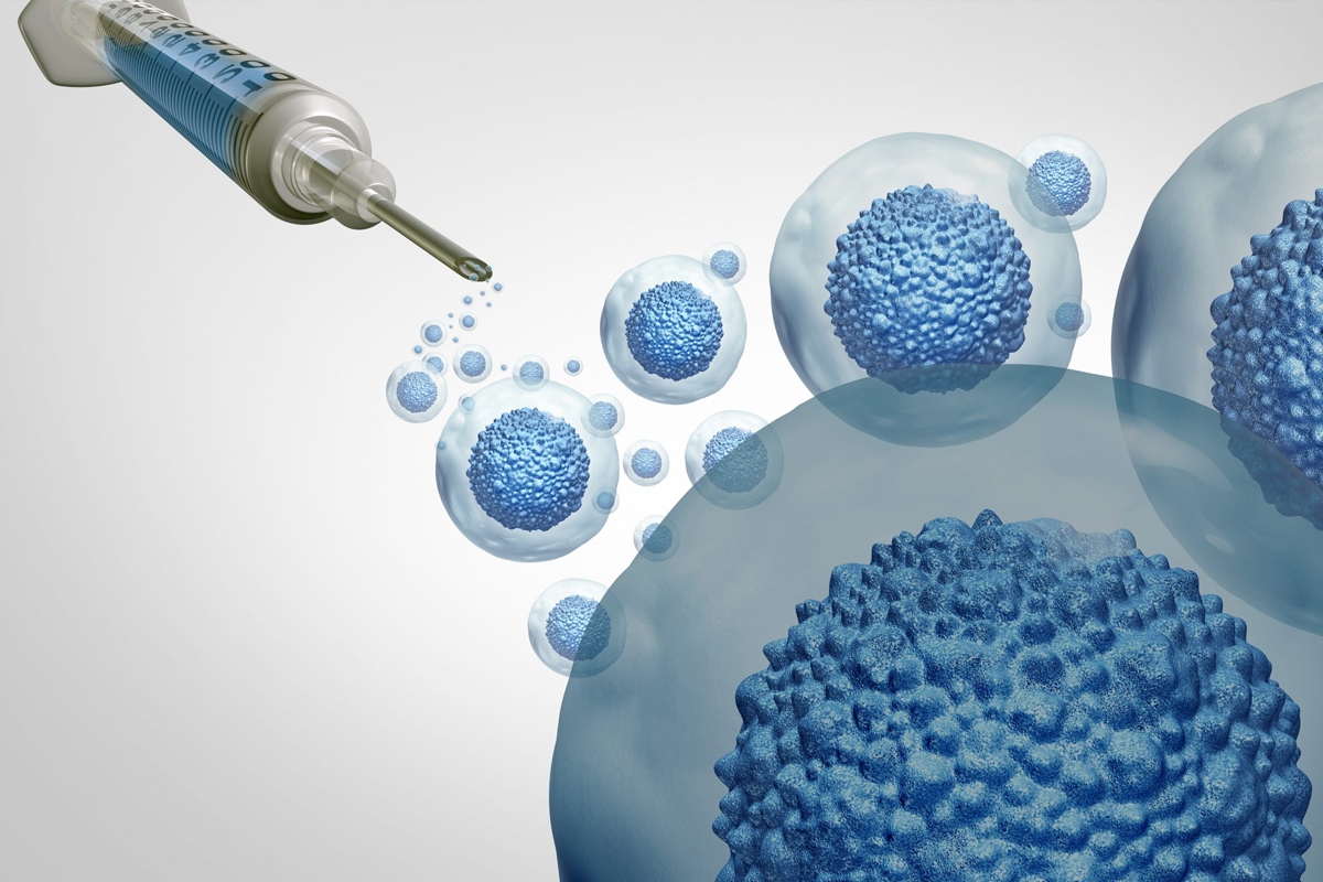 تنظيم التعامل مع مسائل الخلايا الجذعية 