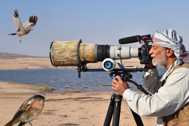 5 أنواع جديدة تنضم لقائمة طيور الكويت ليرتفع عددها إلى 424 نوعا