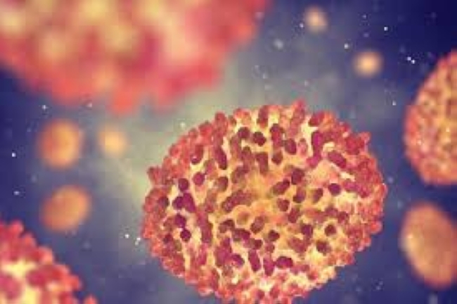 إفريقيا ترفع حالة الطوارئ الصحية بشأن «جدري القردة»