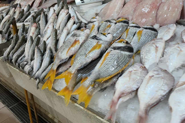 سوق السمك يعمل بشكل طبيعي.. وكميات الأسماك المحلية المعروضة «مطمئنة»