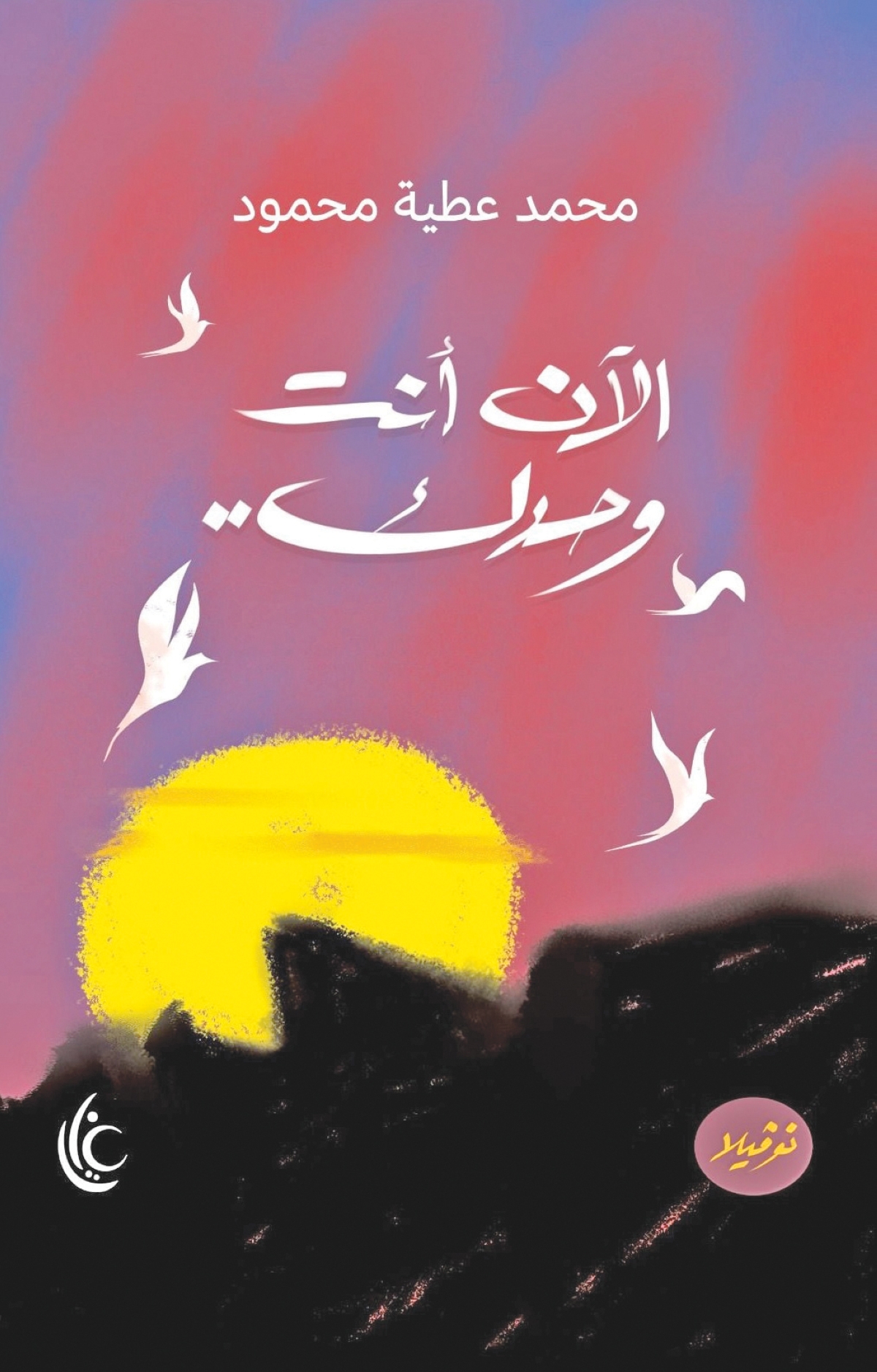 نوفيلا الآن أنت وحدك ... تمزج بين السيرة والواقع والخيال في قالب سردي