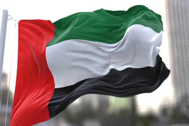 الإمارات تدين بأشد العبارات أعمال الشغب والاعتداء على سفارتها في دمشق
