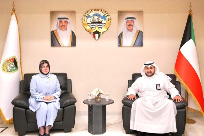 وكيل «الدفاع» بحث تطوير وتعزيز التعاون الدفاعي مع السفيرة التركية