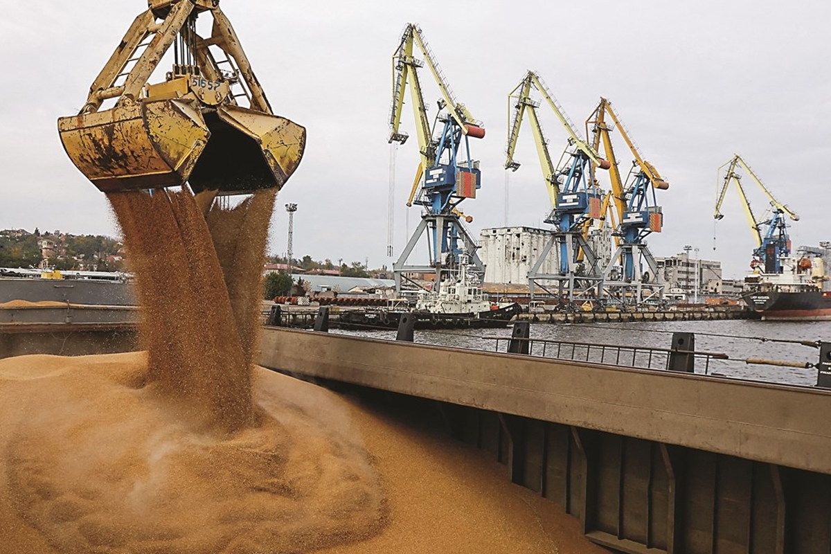 أوكرانيا تستدعي السفير الإسرائيلي على خلفية شحنة حبوب وصلت إلى حيفا 