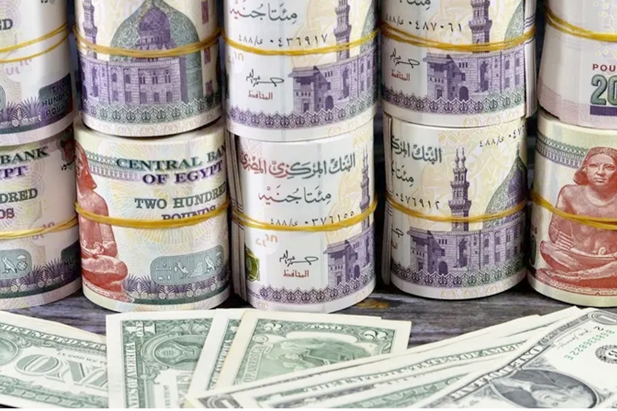 الدولار يواصل ارتفاعه في مصر... والأموال الساخنة تشعل السوق 