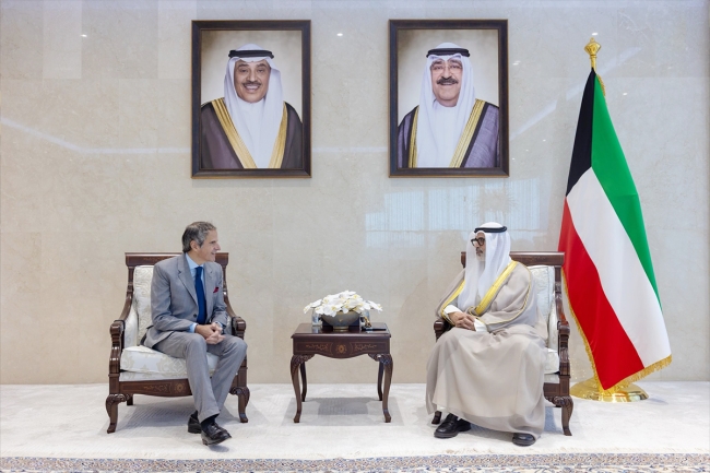 وزير الخارجية يستقبل مدير الوكالة الذرية ويبحثان سبل تعزيز التعاون 