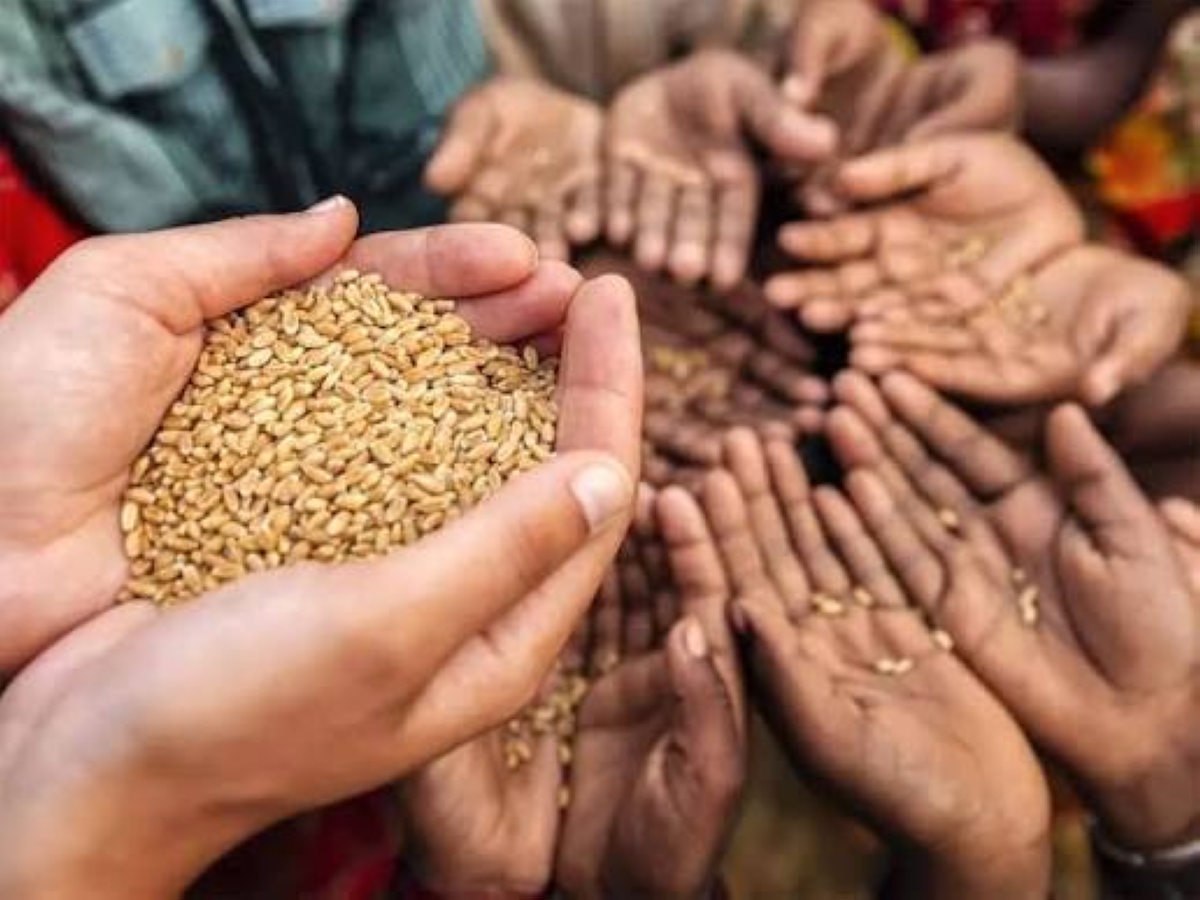 أزمات المناخ والصراعات تدفع الأمن الغذائي العالمي نحو حافة الخطر 
