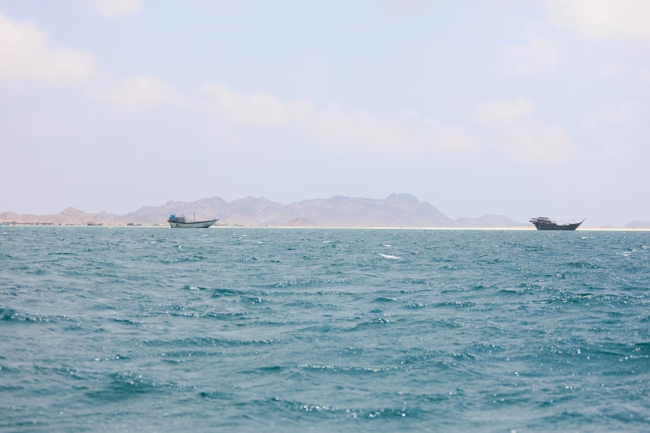 تصعيد حوثي على ساحل «باب المندب»