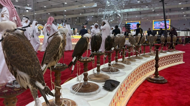 افتتاح معرض كتارا الدولي للصيد والصقور سهيل 2026 بنسخته العاشرة