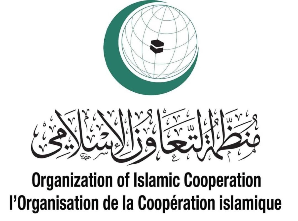 «التعاون الإسلامي»: إنشاء «مجلس وزراء للأمن السيبراني» ومقره الرياض