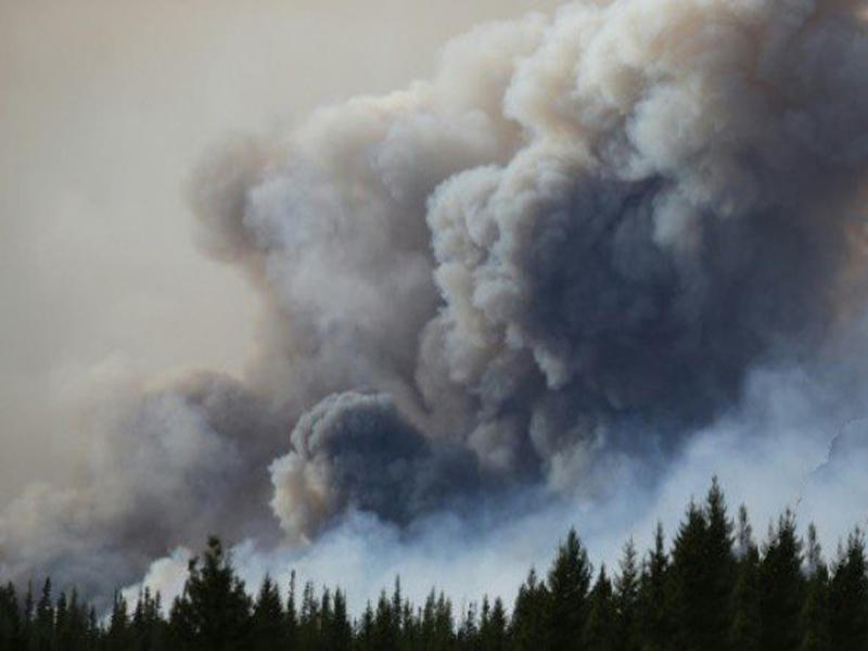  الرماد والغبار المنبعثان عن الحرائق الهائلة
