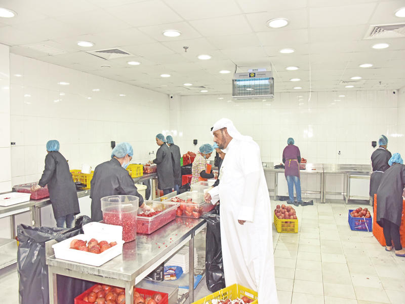 الكشف على الأطعمة مستمر