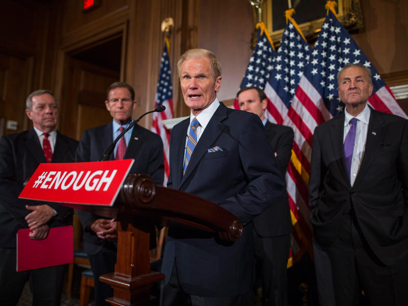 السيناتور الديمقراطي بيل نيلسون يتحدث لوسائل الإعلام