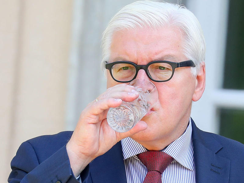 وزير الخارجية الألماني فرانك فالتر شتاينماير