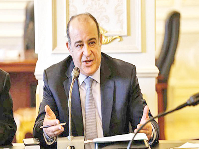 رئيس لجنة الصحة في البرلمان المصري، د. مجدي مرشد 