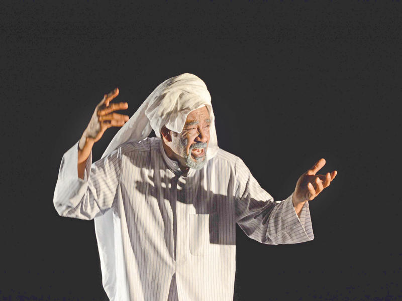 الردهان أثناء العرض