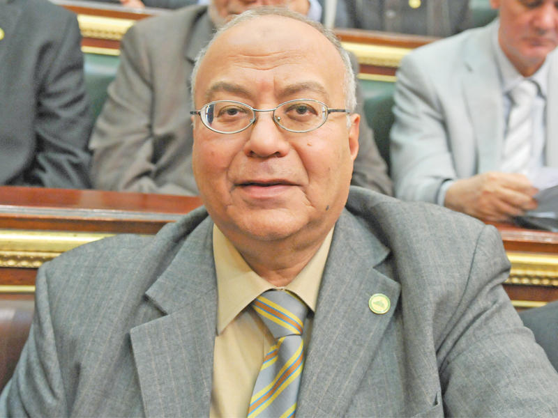 مدير وحدة الشؤون العربية بمركز الدراسات السياسية في «الأهرام»، محمد السعيد إدريس