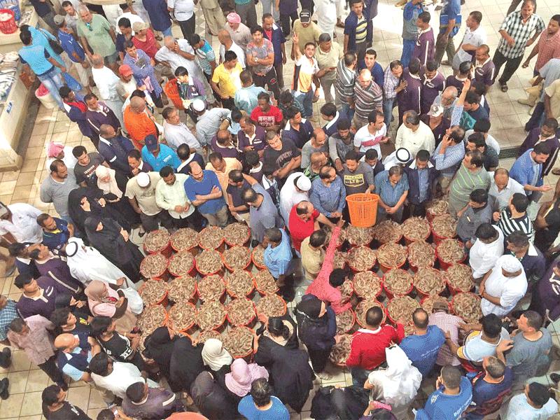 جانب من محصول الروبيان بسوق شرق 