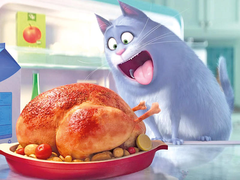 لقطة من فيلم «The Secret Life Of Pets»