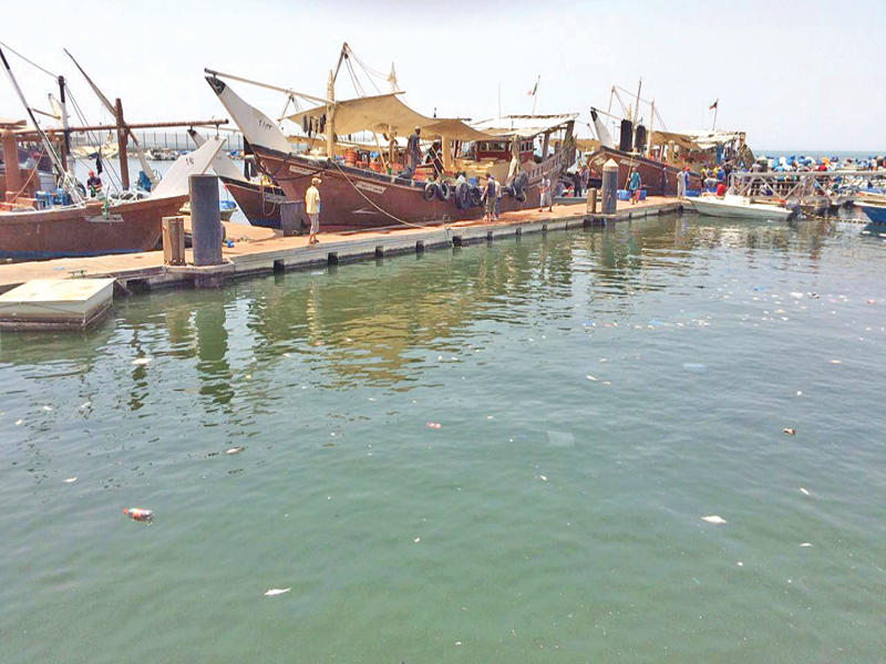 «اللنجات» في نقعة الشملان