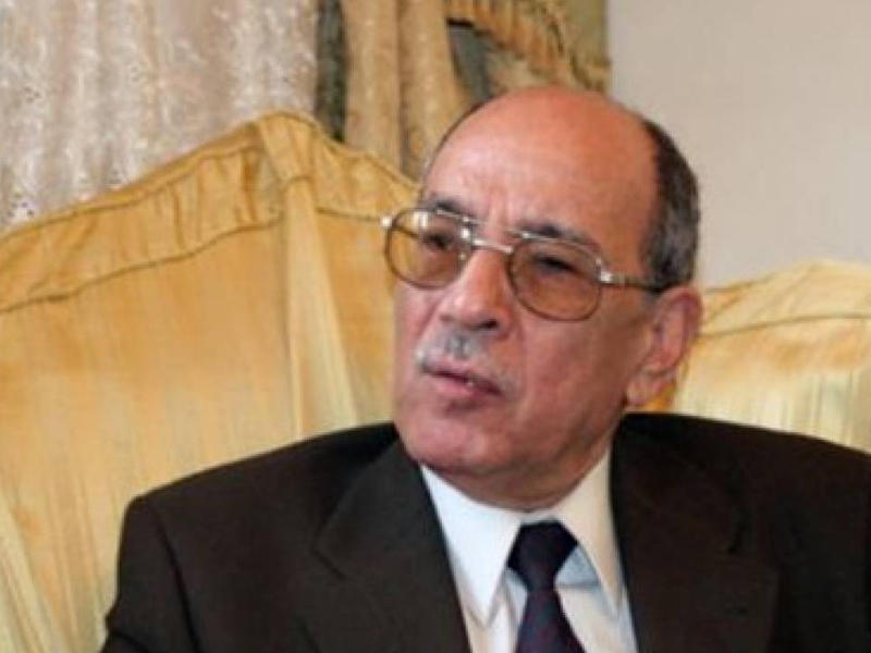  نائب رئيس المجلس القومي لحقوق الإنسان، القيادي اليساري عبدالغفار شكر