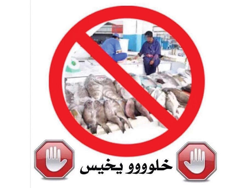 شعار الحملة