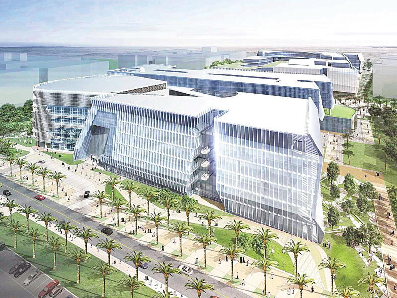 جامعة الشدادية